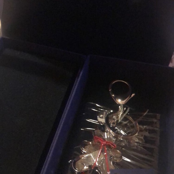 Swarovski HUG ME BAG CHARM - Picture 4 of 5